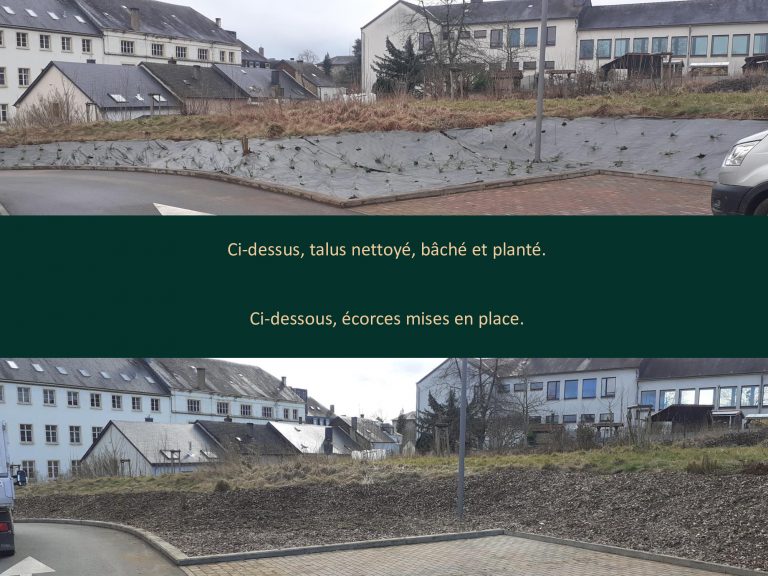 Parking Dominos Virton 12